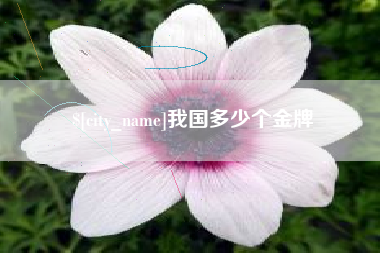 池州我国多少个金牌
