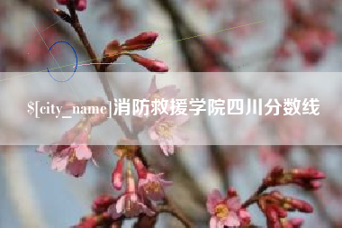 池州消防救援学院四川分数线