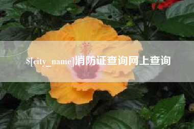 池州消防证查询网上查询