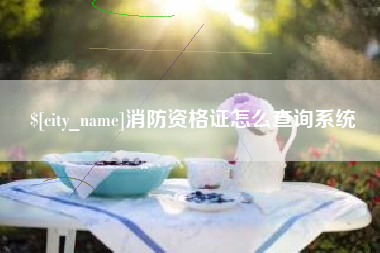池州消防资格证怎么查询系统
