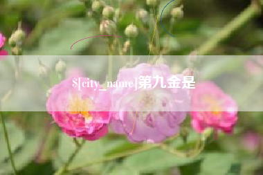 池州第九金是