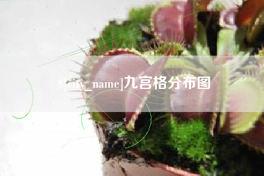 池州九宫格分布图