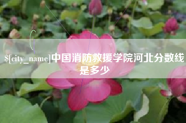 池州中国消防救援学院河北分数线是多少