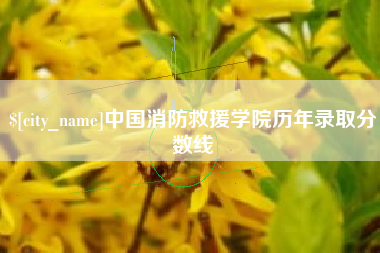 池州中国消防救援学院历年录取分数线