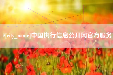 池州中国执行信息公开网官方服务