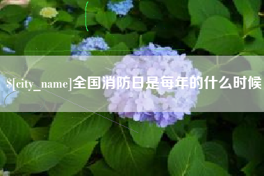 池州全国消防日是每年的什么时候
