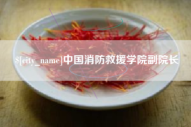 池州中国消防救援学院副院长