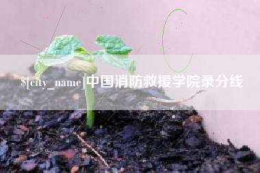 池州中国消防救援学院录分线