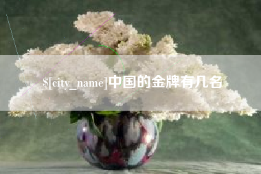 池州中国的金牌有几名