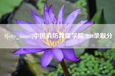 池州中国消防救援学院2020录取分