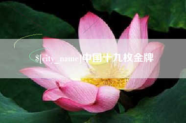 池州中国十九枚金牌