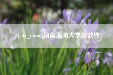 池州河南消防大学分数线