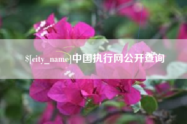 池州中国执行网公开查询
