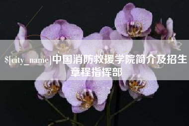 池州中国消防救援学院简介及招生章程指挥部