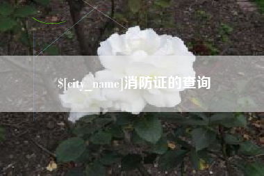 池州消防证的查询