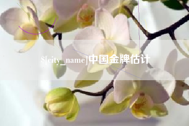 池州中国金牌估计