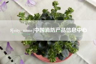 池州中国消防产品信息中心