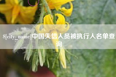 池州中国失信人员被执行人名单查询