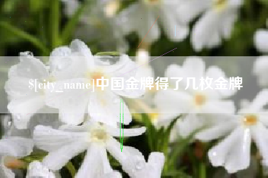 池州中国金牌得了几枚金牌