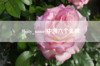 池州中国六个金牌