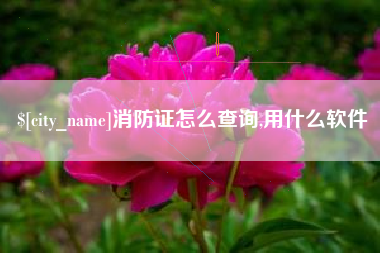 池州消防证怎么查询,用什么软件