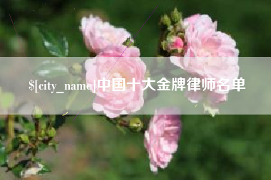 池州中国十大金牌律师名单