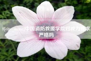 池州中国消防救援学院对视力要求严格吗