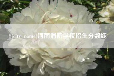 池州河南消防学校招生分数线