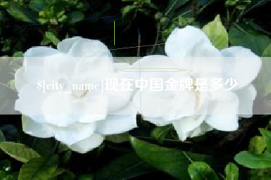 池州现在中国金牌是多少