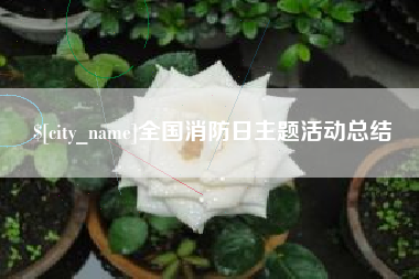 池州全国消防日主题活动总结