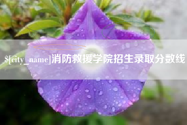 池州消防救援学院招生录取分数线