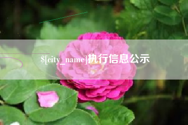 池州执行信息公示