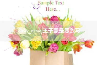 池州王子豪是怎么写