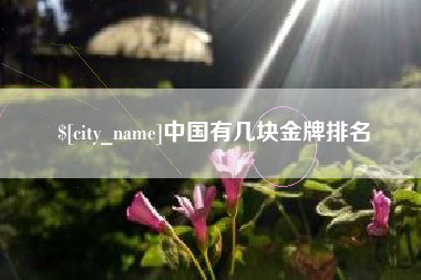池州中国有几块金牌排名