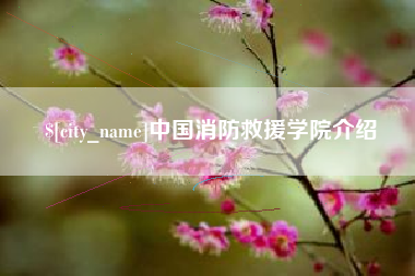 池州中国消防救援学院介绍