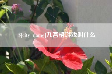 池州九宫格游戏叫什么