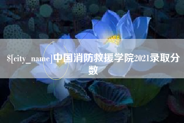 池州中国消防救援学院2021录取分数
