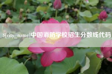 池州中国消防学校招生分数线代码