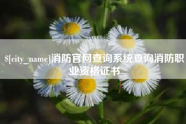 池州消防官网查询系统查询消防职业资格证书