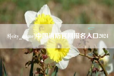 池州中国消防官网报名入口2024