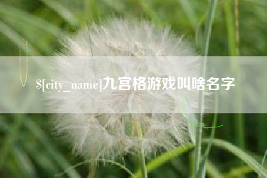 池州九宫格游戏叫啥名字