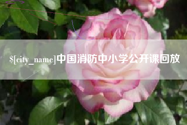 池州中国消防中小学公开课回放