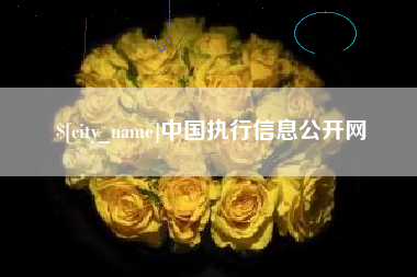 池州中国执行信息公开网
