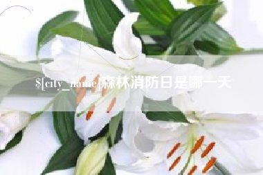 池州森林消防日是哪一天