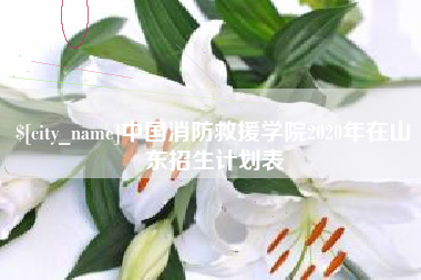 池州中国消防救援学院2020年在山东招生计划表