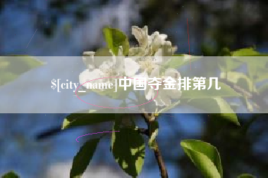 池州中国夺金排第几