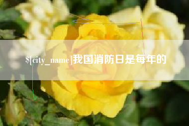 池州我国消防日是每年的