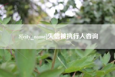 池州失信被执行人杳询