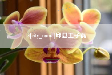 池州邱县王子磊