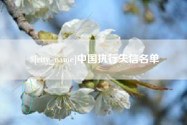 池州中国执行失信名单